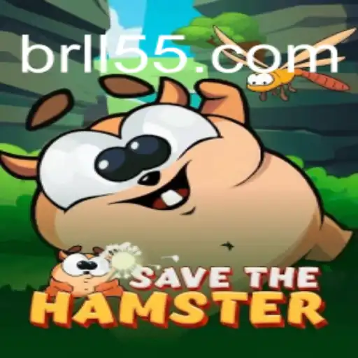 SavetheHamster: An Engaging Adventure Combined with Thrilling Slots Experience